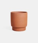 Chad Pot Terra