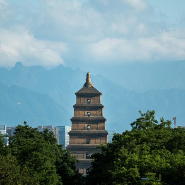从兵马俑到大熊猫！历史与美食的中国之旅 - 西安和成都 8 天